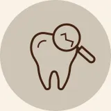 歯並び・歯の生え変わり、むし歯のチェック